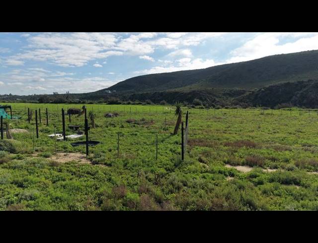 FARM FOR SALE IN VAN WYKSDORP
